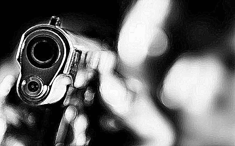 Balacera en cumpleaños deja cuatro muertos en EU