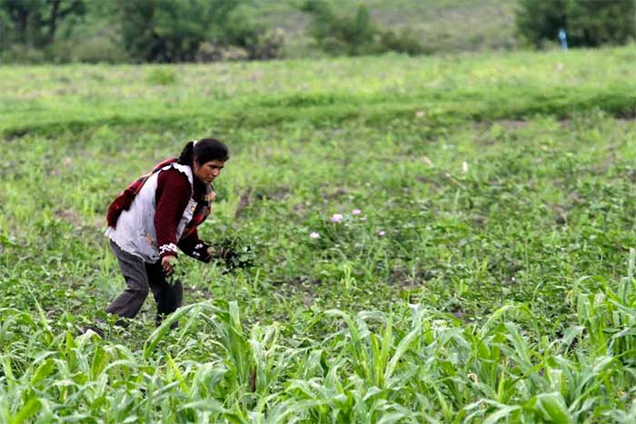 Víctimas de violencia el 70 % de las mujeres en Izúcar