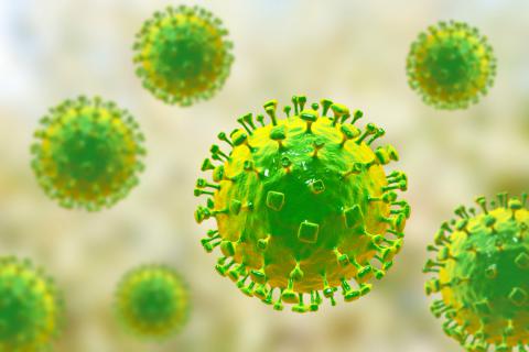 Reportan brote del virus de Nipah en India