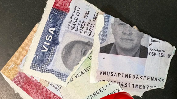 Romper la visa, estéril patriotismo. 2025: monero de izquierda. 2017: jurista neoliberal
