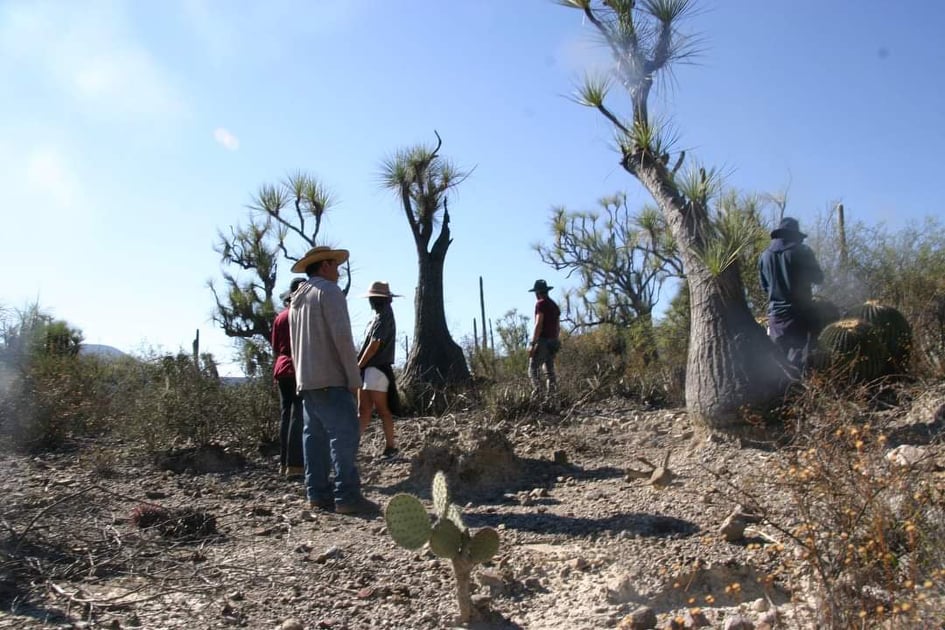 Tras pandemia repunta turismo en un 100% Zapotitlán Salinas