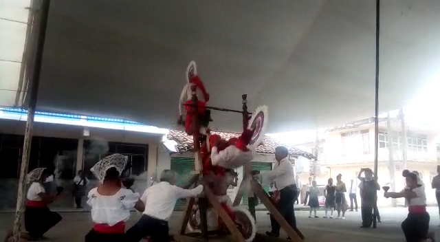 VIDEO Caen voladores de Tenampulco este 5 de Mayo