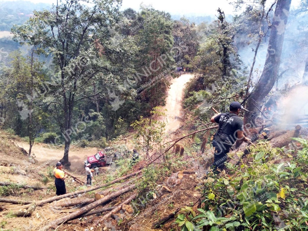 Incendio daña 25 hectáreas de bosque en Tlatlauquitepec