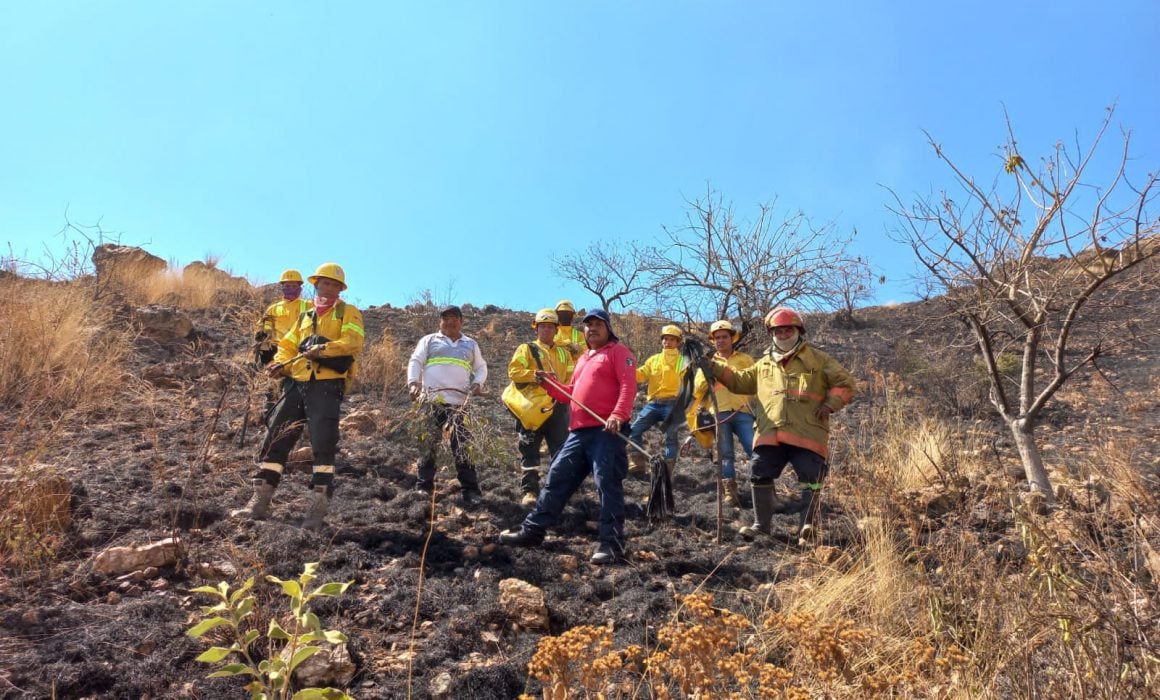 Sofocan incendios cerca de zona arqueológica de Monte Albán