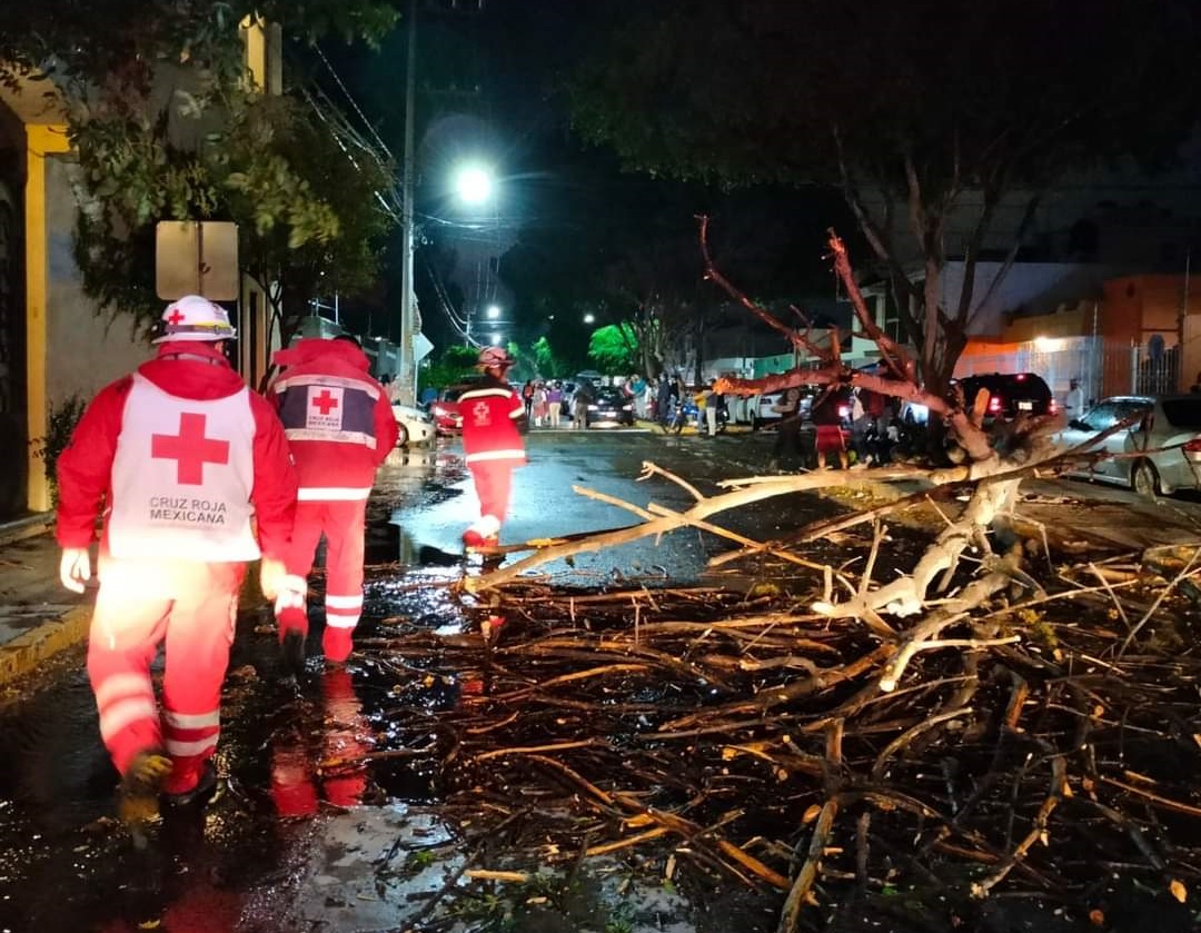 Lluvia y viento derriban árbol sobre un coche en Tehuacán  