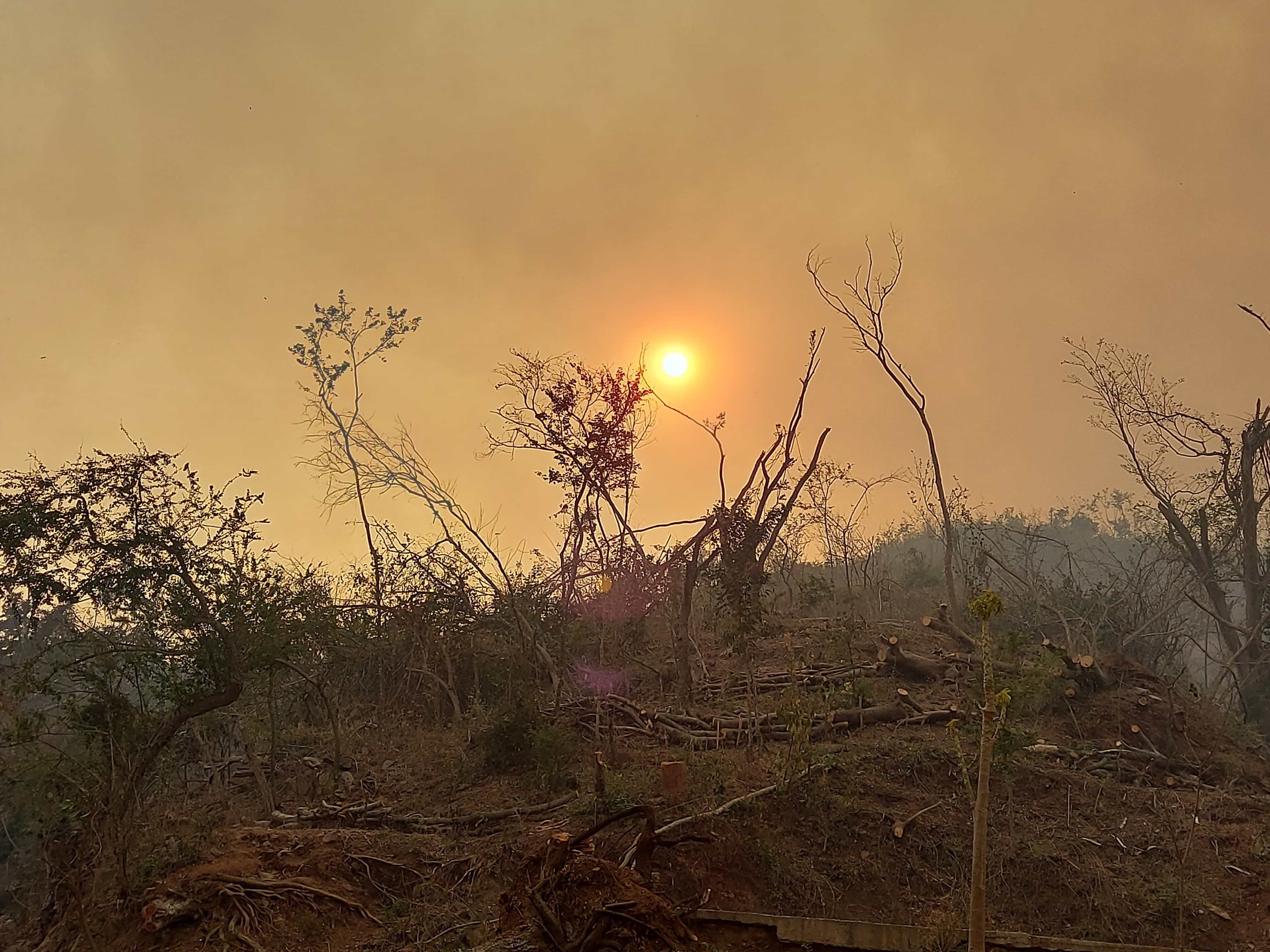 México cuenta con 205 incendios forestales activos