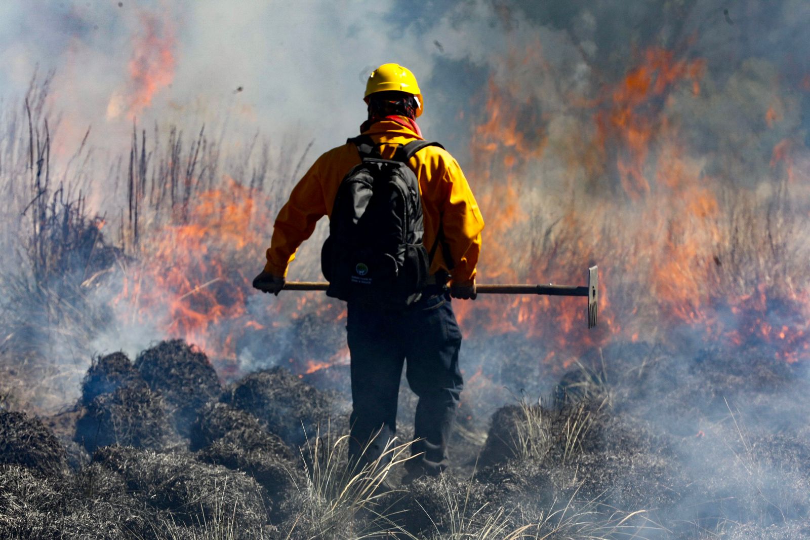 Colectivos recolectan víveres para apoyara a brigadistas que sofocan incendios en La Malinche 