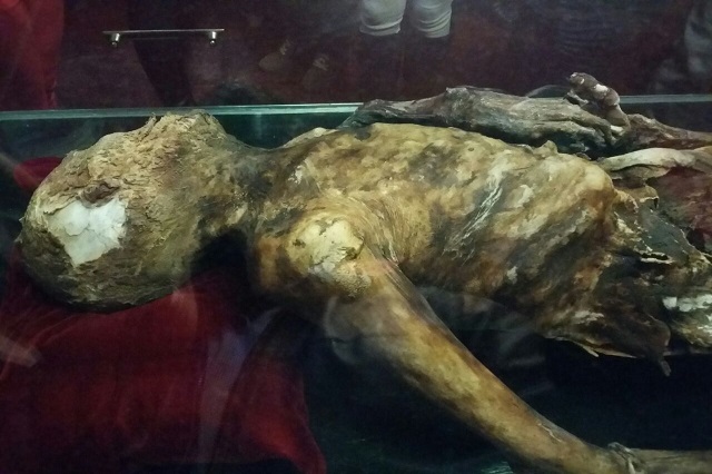 Momia rescatada en el Citlaltépetl es exhibida en museo de Ciudad Serdán