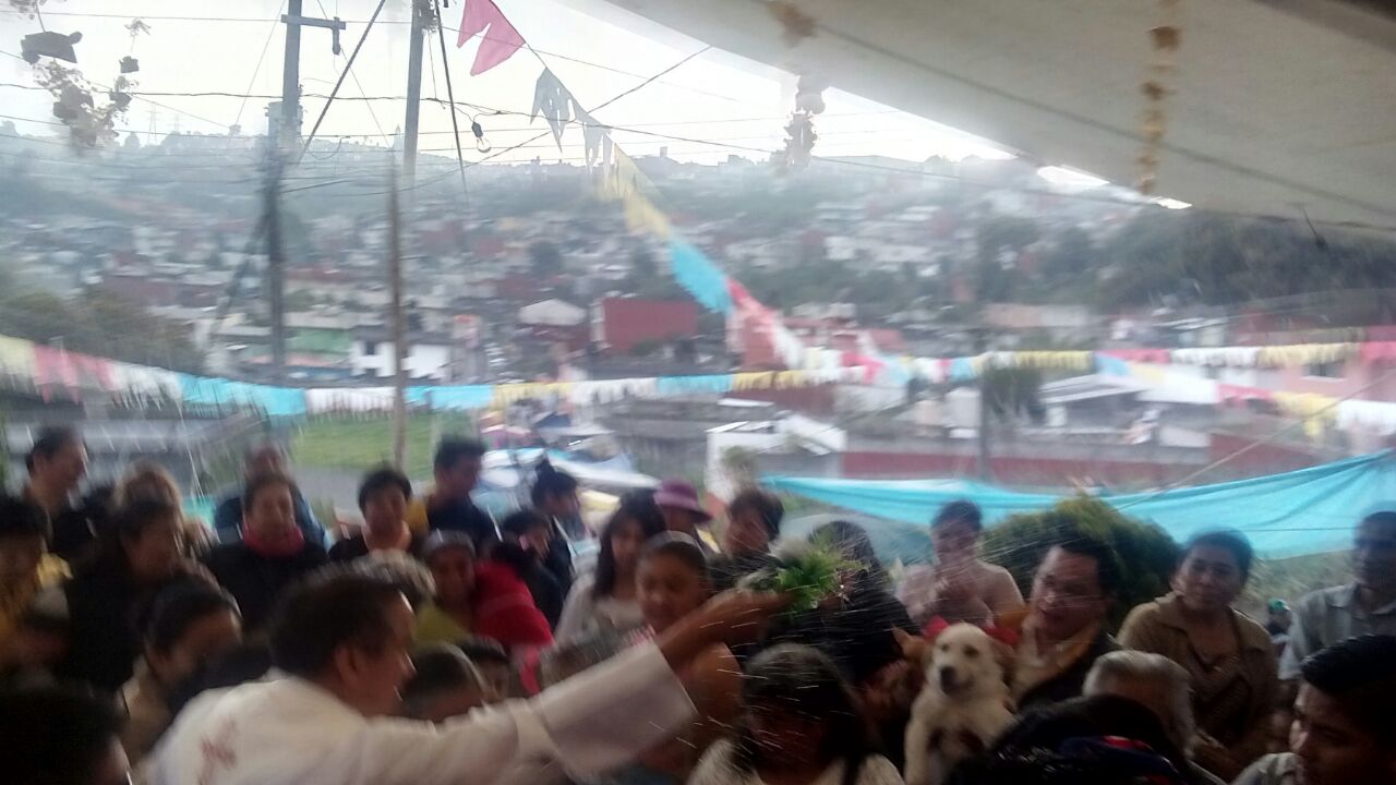 Bendicen a cientos de animales por fiesta de San Antonio Abad, en Teziutlán