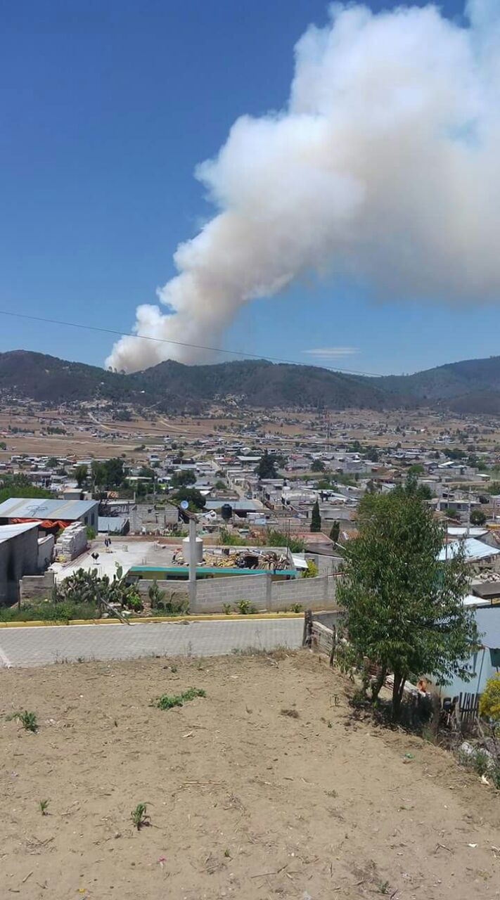 Fuego consume 15 casas y 30 hectáreas de bosque en Zautla