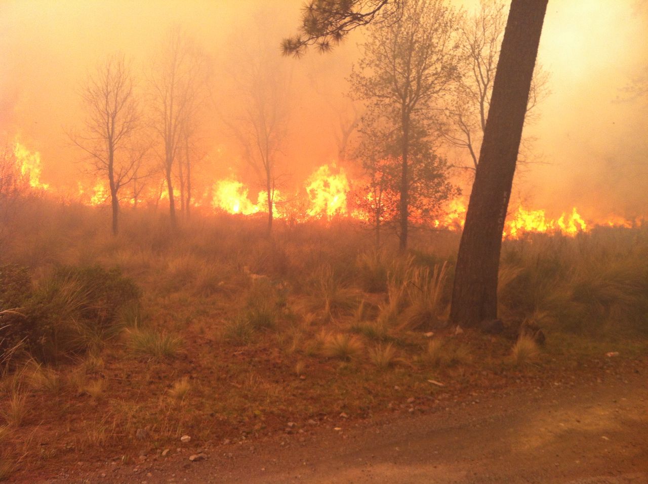 Fuego consume 200 hectáreas de bosque en Chignautla