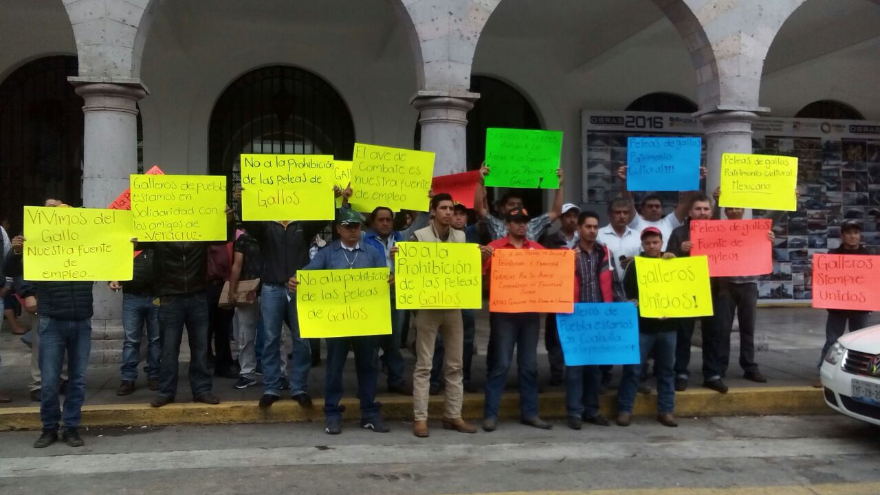 Protestan en Teziutlán para defender peleas de gallos en Puebla