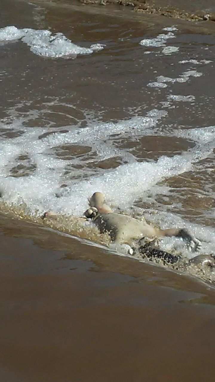 Hallan cadáver flotando en el río Atoyac