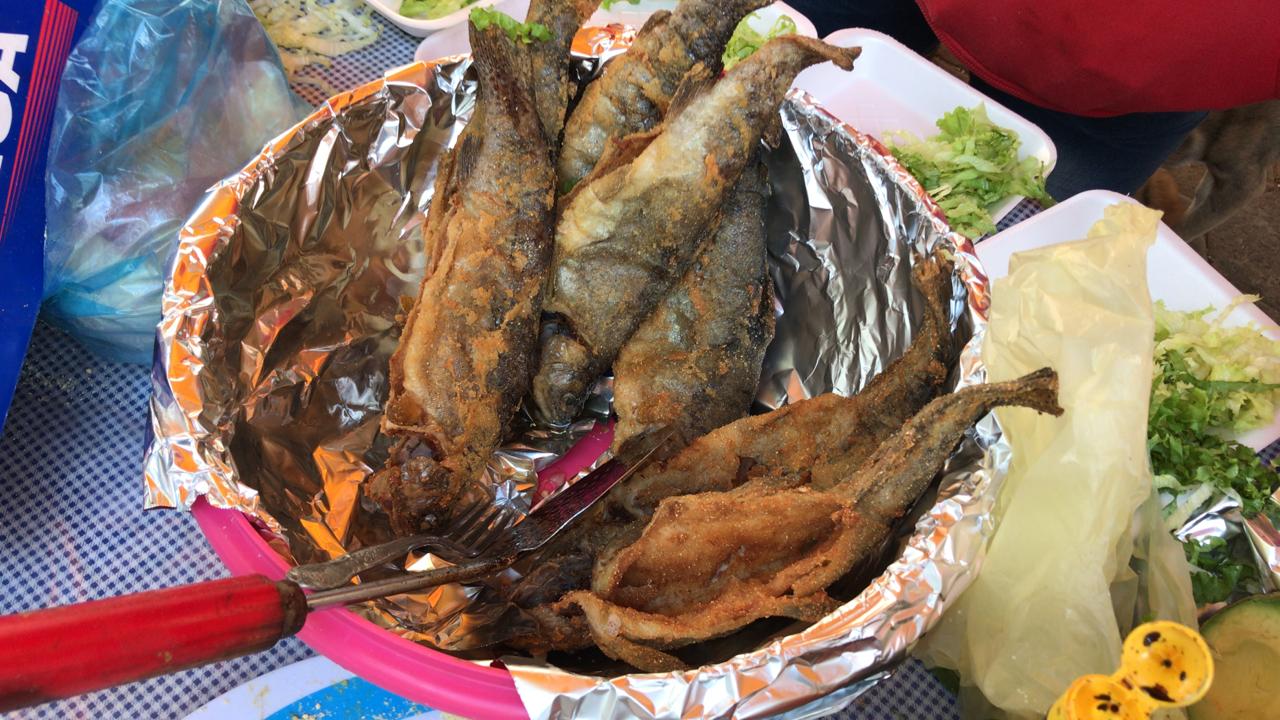 Tlahuapan espera cientos de visitantes a la Feria de la Trucha