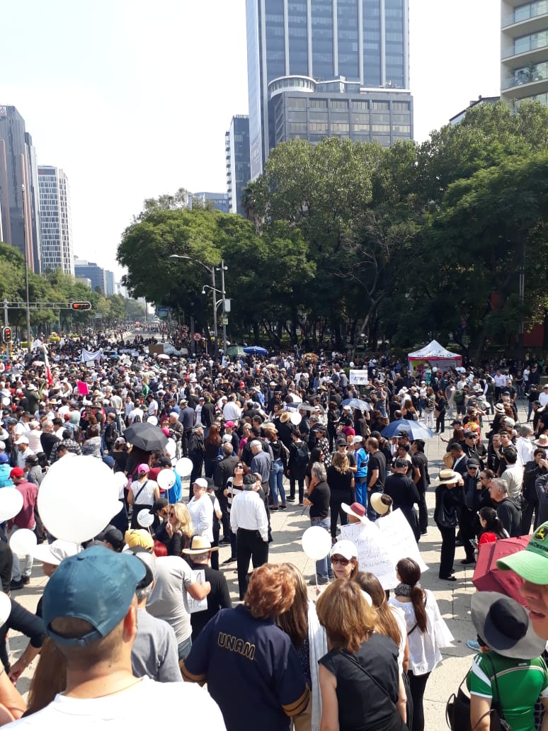 Miles marchan en CDMX contra consultas a modo 