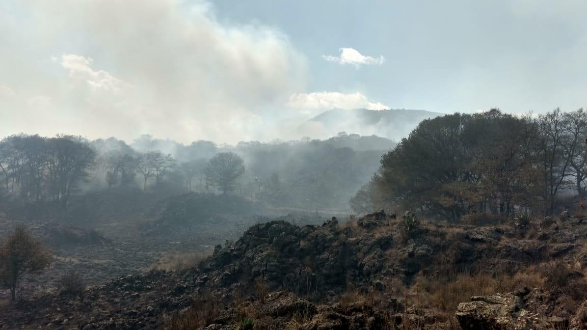 Puebla, segundo estado con más afectaciones por incendios