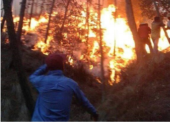 Un muerto y un desaparecido deja el incendio en Zautla