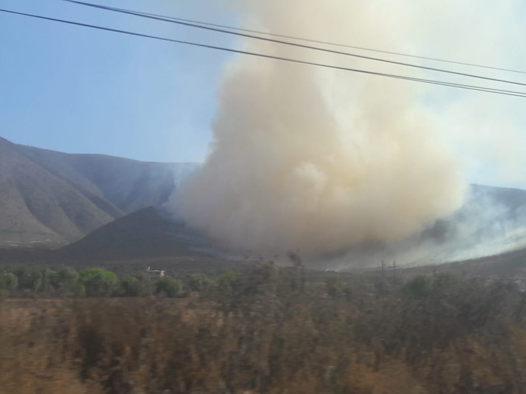 Incendios forestales consumen la región de Tecamachalco