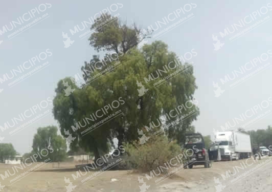 Tras enfrentamiento, recuperan vehículos en Tecamachalco