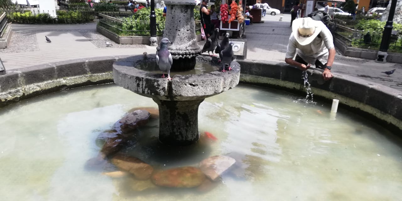 Indigna muerte de peces en Jardín Reforma de Huauchinango