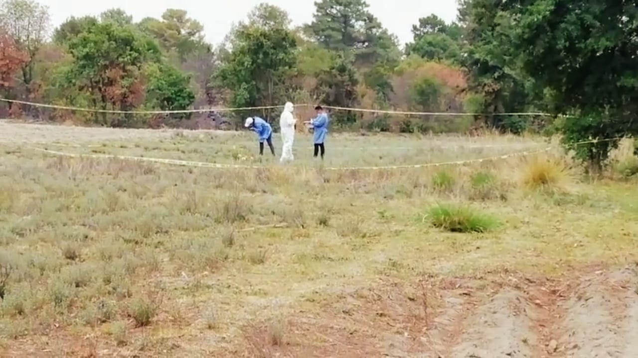 Hallan cráneo y mandíbula en terreno de Xonacatepec
