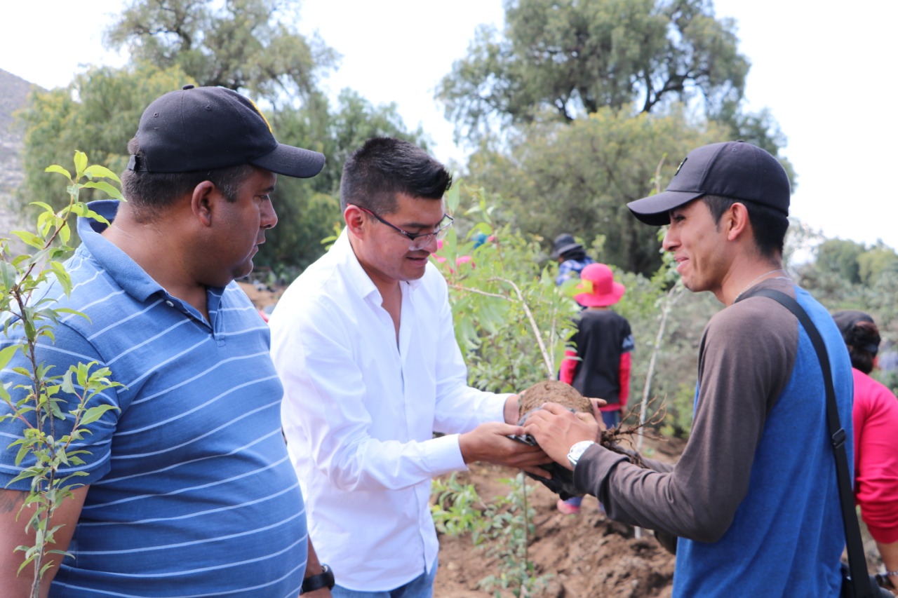 Reforestan ojo de agua en Palmarito Tochapan