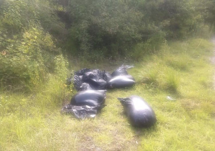 Tiran 15 bolsas con restos en Maltrata, podrían ser poblanos