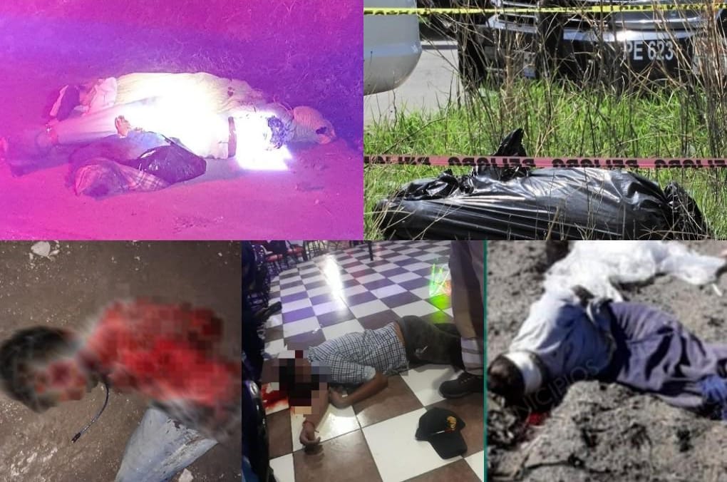Defendiendo a su familia o ejecutados, 23 personas murieron esta semana