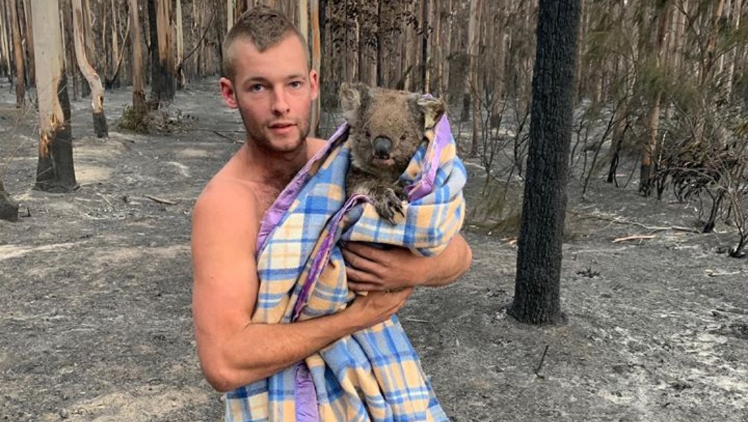 Se hace viral cazador que rescata a koalas en incendios de Australia