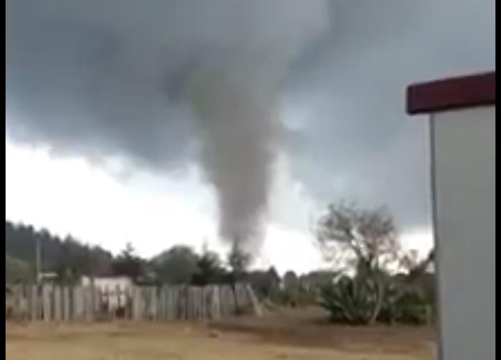 VIDEO Víbora de agua pega en Zacatlán y arrasa techos