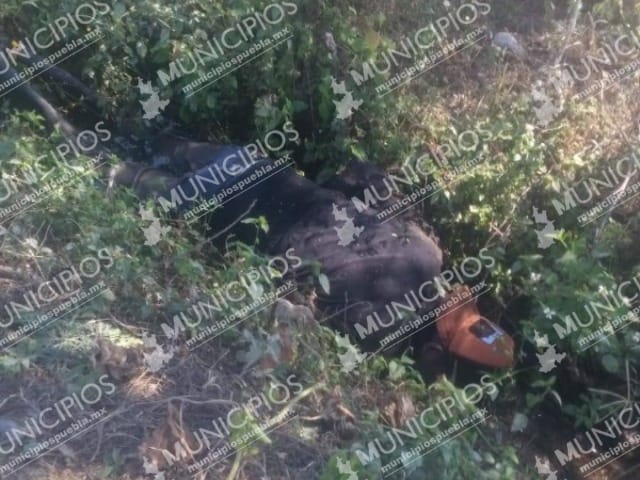 Hallan a hombre sin vida en terrenos de cultivos de Chietla