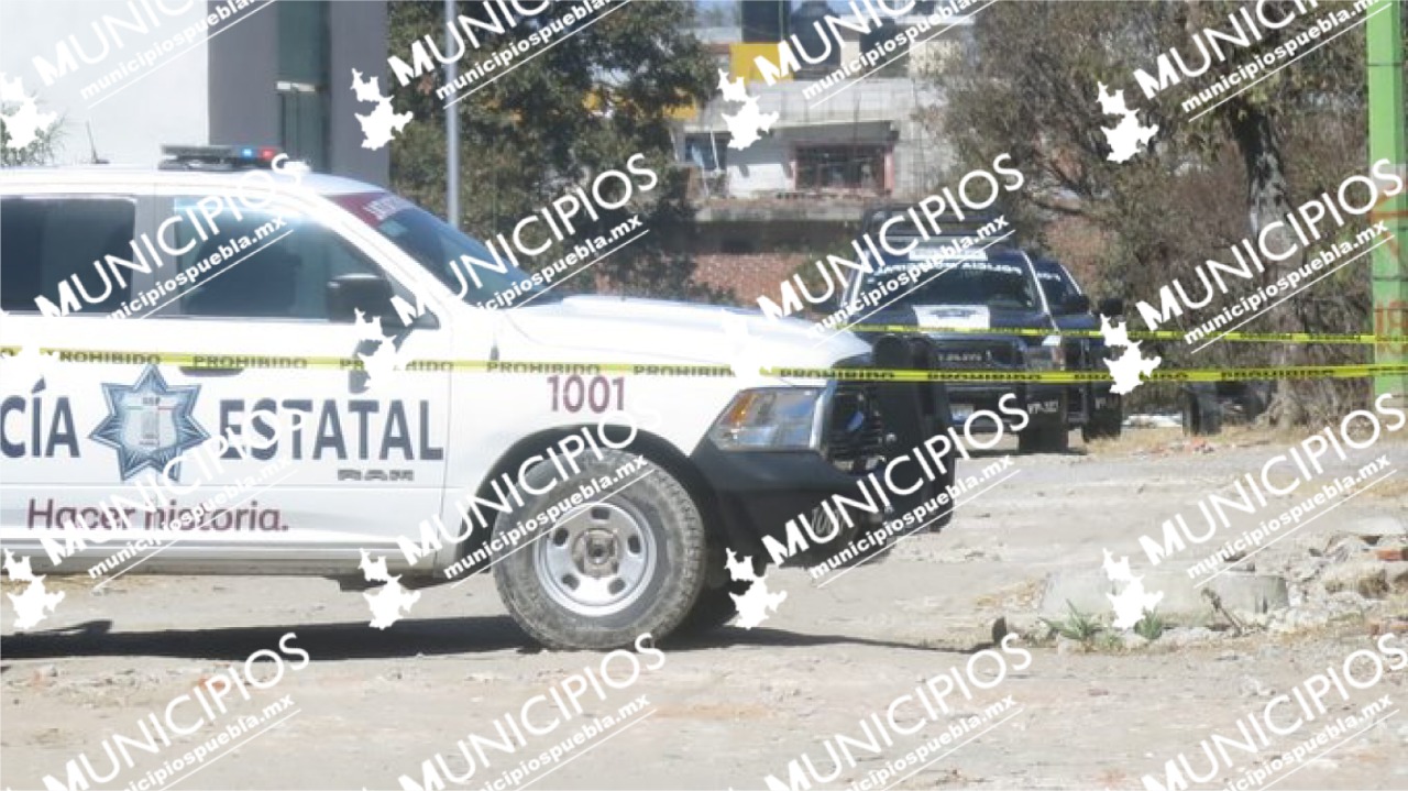 VIDEO Localizan a hombre desollado en barranca Flor del Bosques