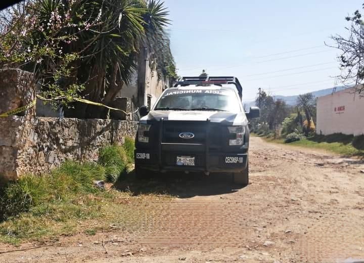 Hallan plantíos de marihuana en vivienda de Tlatlauquitepec