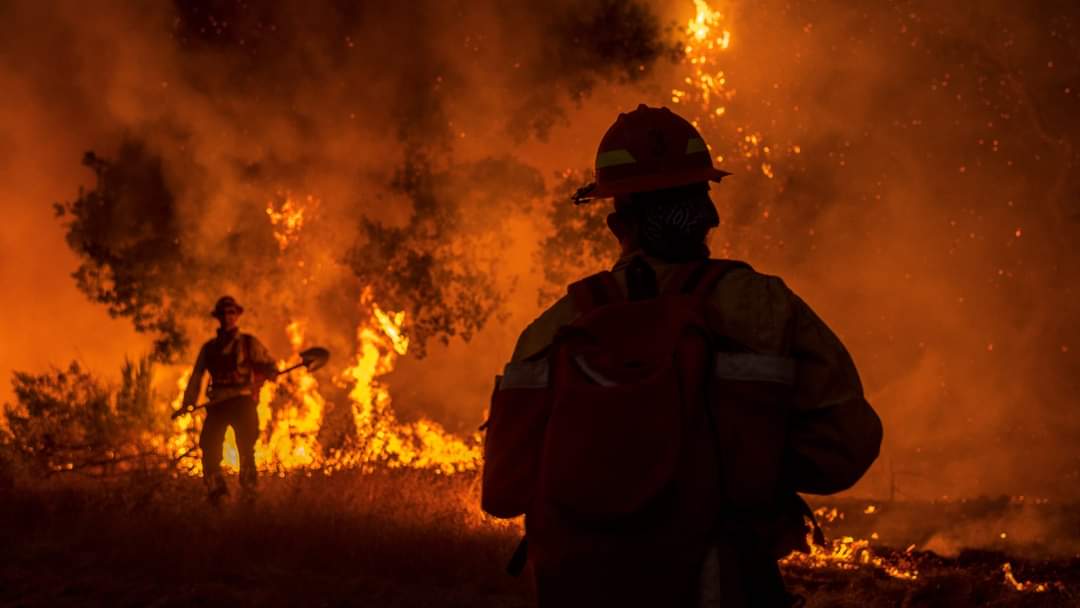 Incendio en Sierra de Arteaga ya es desastre ecológico