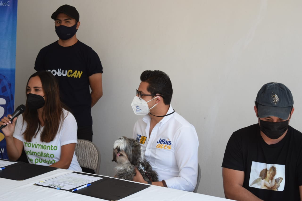 Impulsar políticas públicas incluyentes de protección y cuidado animal en Ocoyucan: Giles