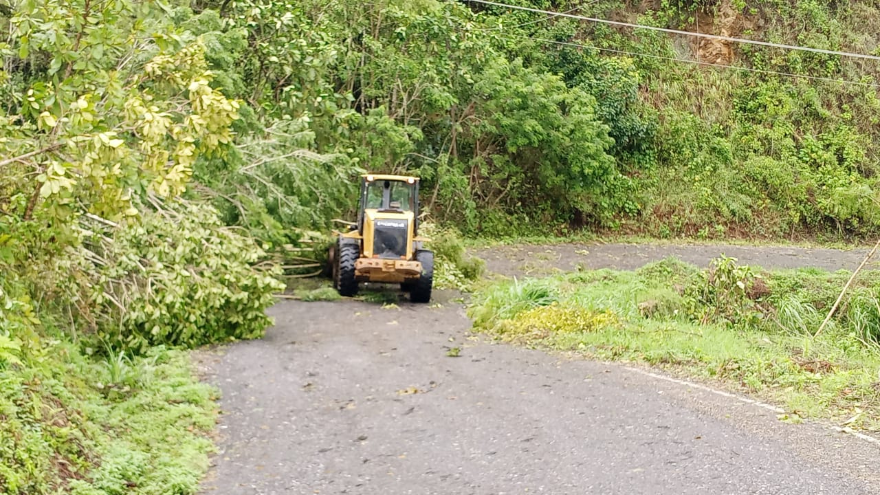   Comienzan trabajos para reabrir caminos afectados por Grace