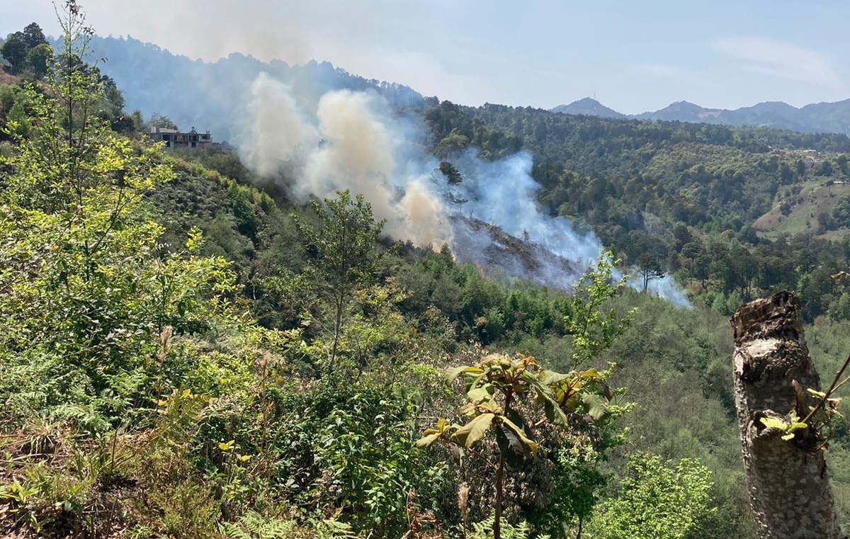 Incendio calcina cuatro hectáreas en Huauchinango