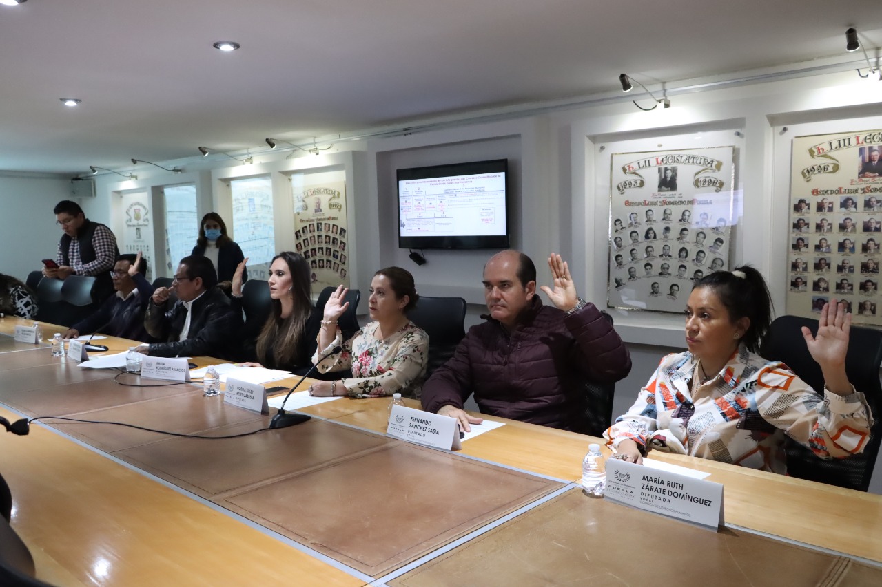 Aprueban convocatoria para elección del Consejo Consultivo de la CDH Puebla