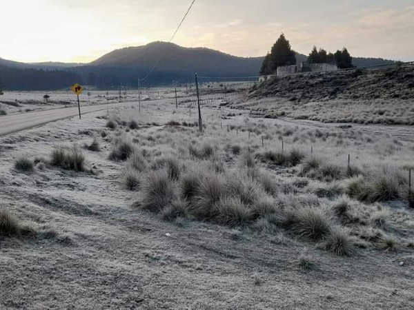 Campos de municipios de la Sierra Norte de Puebla lucen blancos