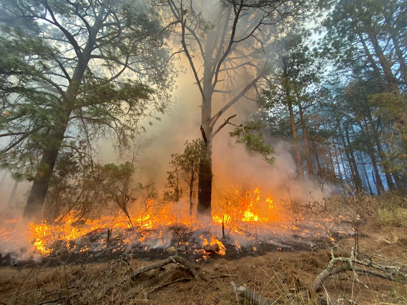 Emiten contingencia ambiental en Tlaxcala por incendios forestales y mala calidad del aire