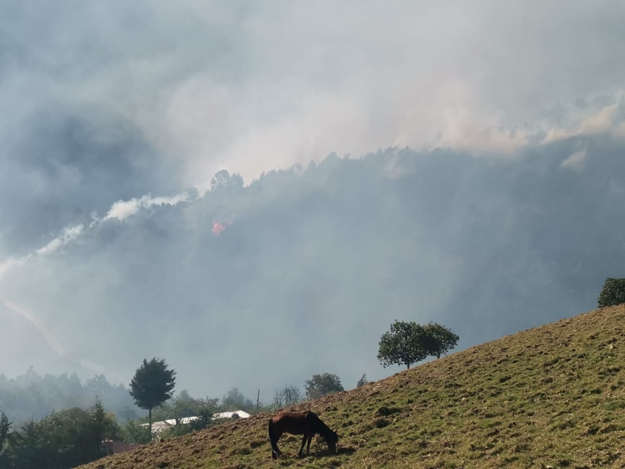 Reporta Conafor nueve incendios forestales activos en Puebla