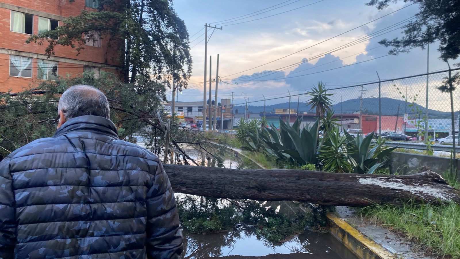 Lluvias provocan caída de un árbol y encharcamientos en el norte Puebla