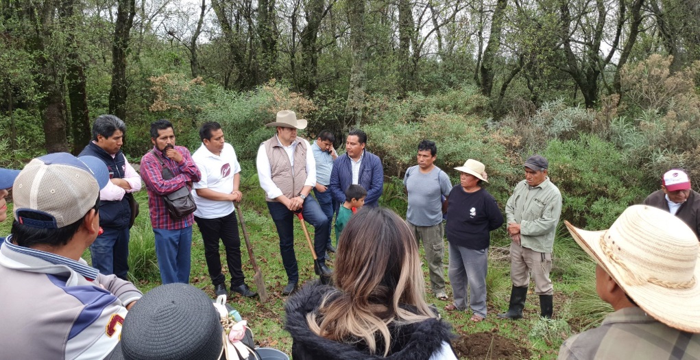 Armenta impulsa industrialización del Cáñamo para el crecimiento sostenible