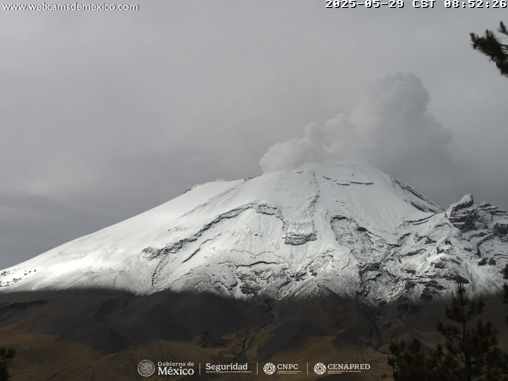 Popocatépetl aumenta actividad a 70 exhalaciones en 24 horas
