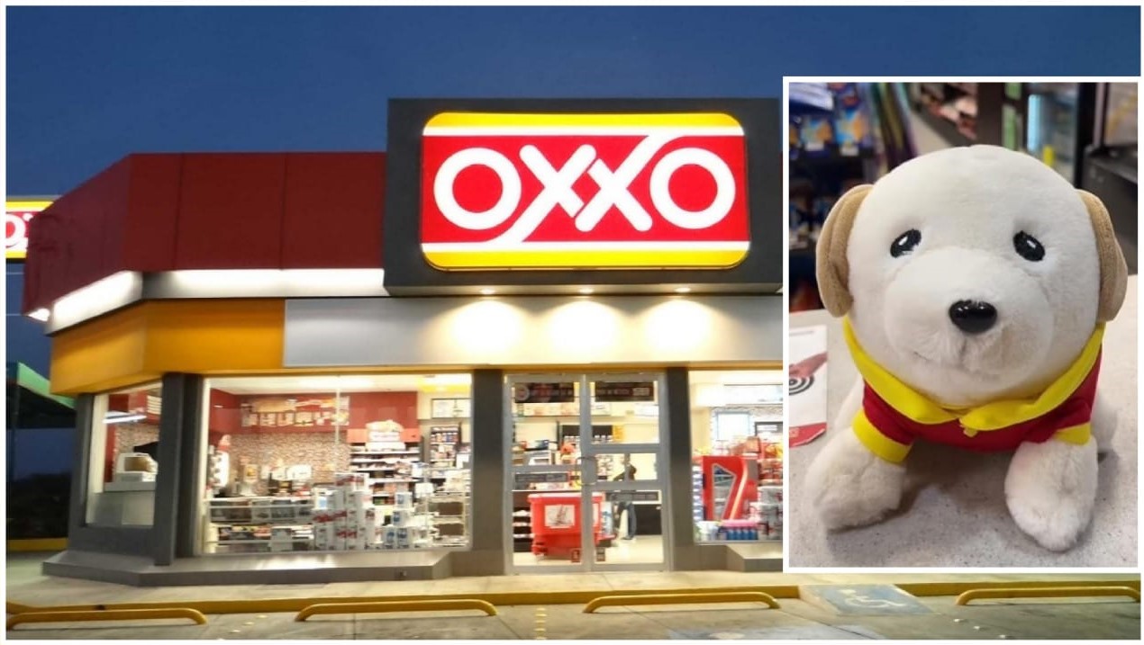 PeluchOxxo el perrito más viral de Redes sociales, ¿ya tienes el tuyo?