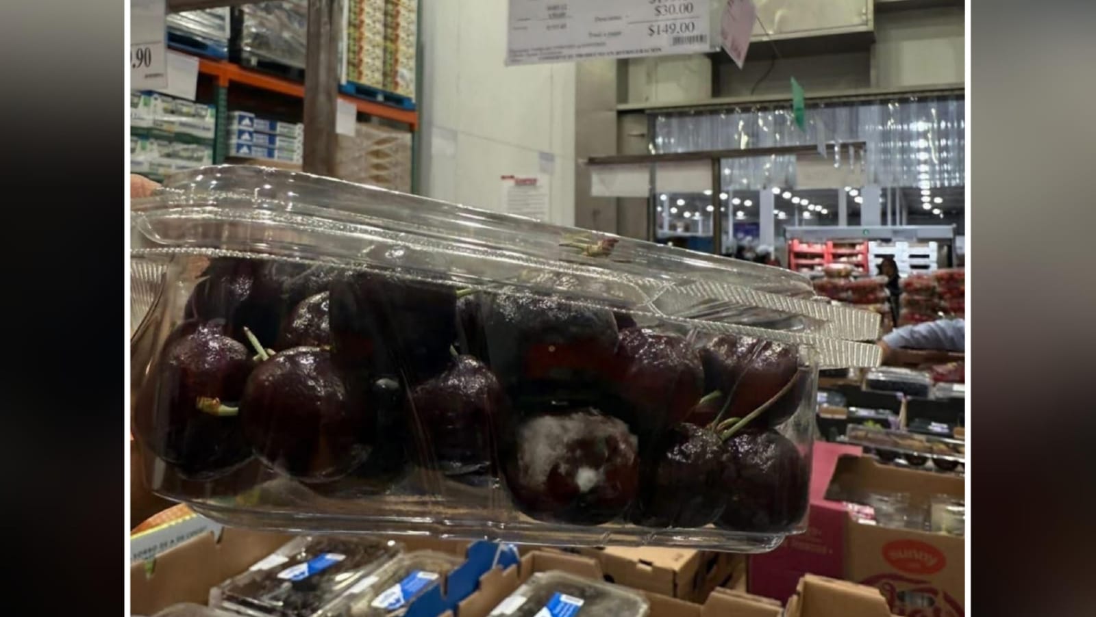 Encuentran alimentos con moho en sucursal de Costco Angelópolis 