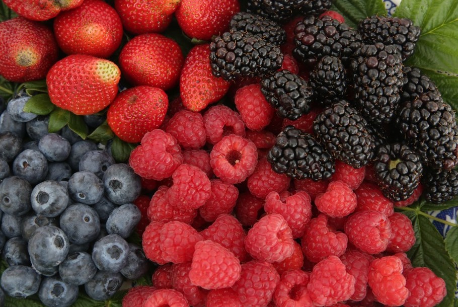 Anuncian la Sexta Feria de las Berries en Huejotzingo 