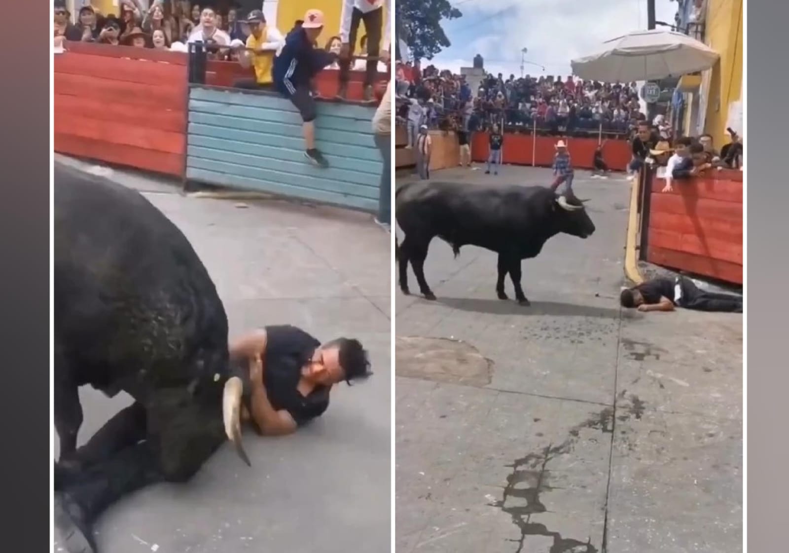 Poblano fue embestido por un toro en la Huamantlada 