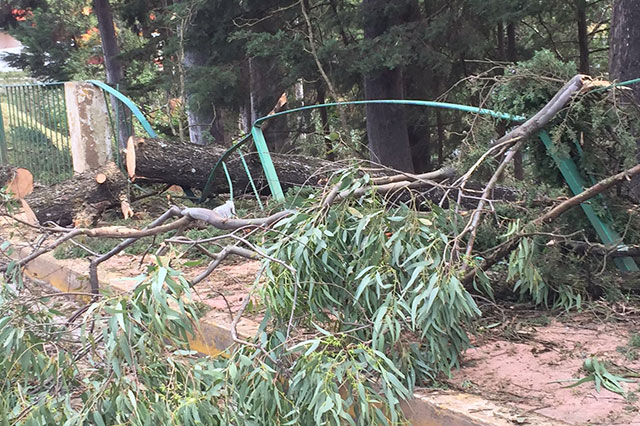 Confirman 150 casas dañadas por el viento en Zacatlán