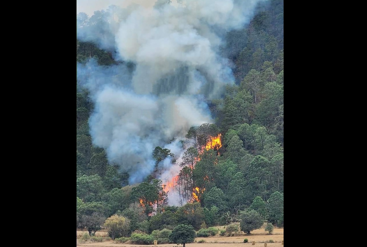 Incendio forestal consume cerro de Ocotepec